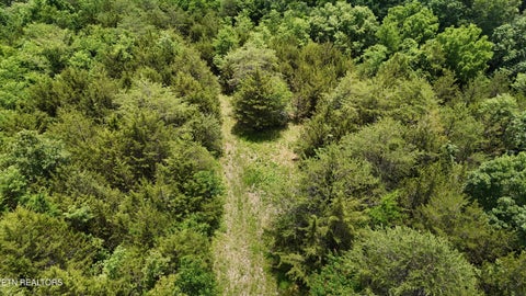 Tiny photo for 2201 Stepp Rd, Bybee, TN 37713 (MLS # 1359947)