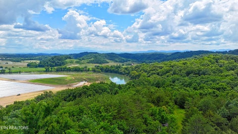 Tiny photo for 2201 Stepp Rd, Bybee, TN 37713 (MLS # 1359947)