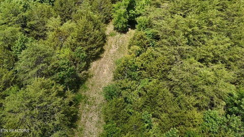 Tiny photo for 2201 Stepp Rd, Bybee, TN 37713 (MLS # 1359947)
