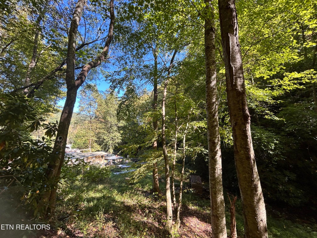 Photo of 433 Steve Brown Rd, Bean Station, TN 37708 (MLS # 1358089)