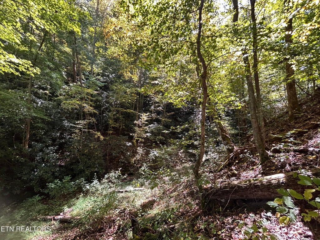 Photo of 433 Steve Brown Rd, Bean Station, TN 37708 (MLS # 1358089)