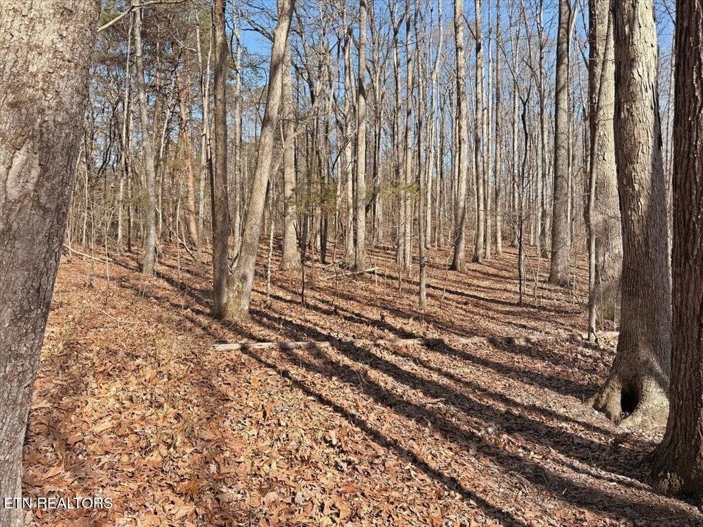 Photo of 180 Hill Rd, Knoxville, TN 37938 (MLS # 1333597)