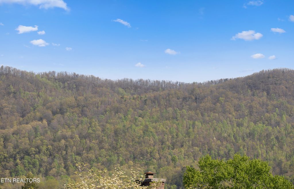 Photo of 154 Scarlett Drive, LaFollette, TN 37766 (MLS # 1298474)