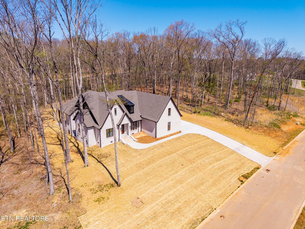 Photo of 1221 Kellys View Drive, Greenback, TN 37742 (MLS # 1334677)