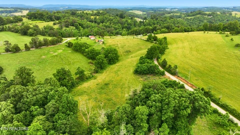 Tiny photo for 918 Locust Grove Rd, New Tazewell, TN 37825 (MLS # 1344261)