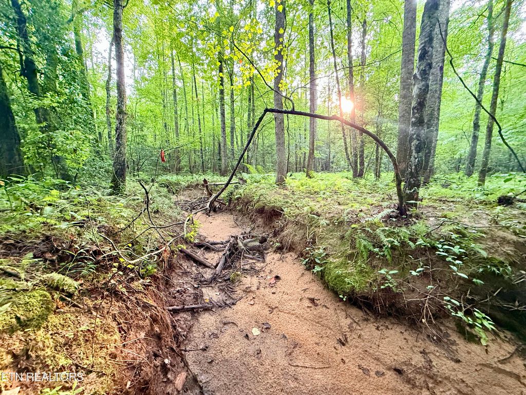 Photo of Lot 4 Airport Rd, Rockwood, TN 37854 (MLS # 1310473)