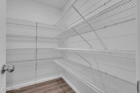 Tiny photo for 149 Chapman View Drive, Seymour, TN 37865 (MLS # 1326110)