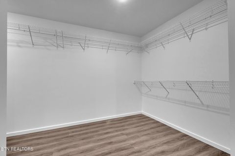 Tiny photo for 149 Chapman View Drive, Seymour, TN 37865 (MLS # 1326110)