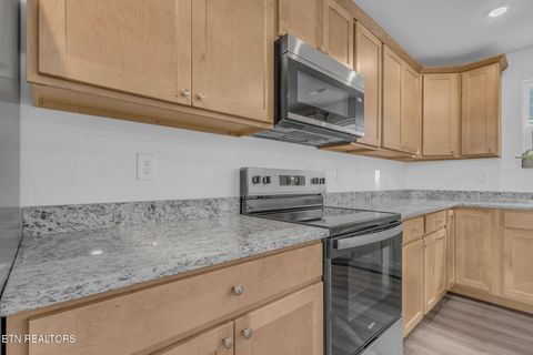 Tiny photo for 149 Chapman View Drive, Seymour, TN 37865 (MLS # 1326110)