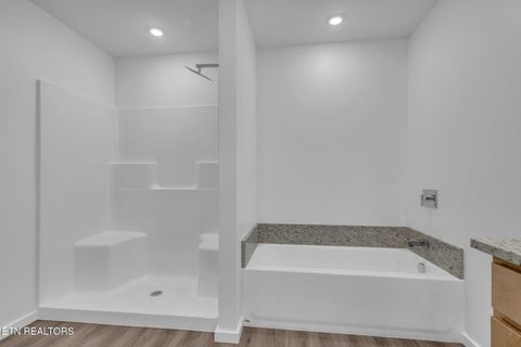 Tiny photo for 149 Chapman View Drive, Seymour, TN 37865 (MLS # 1326110)