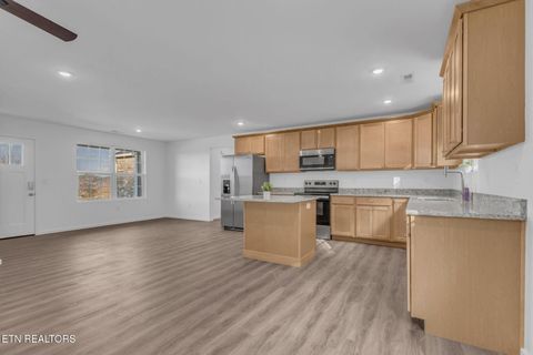 Tiny photo for 149 Chapman View Drive, Seymour, TN 37865 (MLS # 1326110)