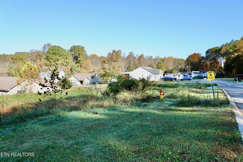 Photo of 203 Ivens Trail Tr, Madisonville, TN 37354 (MLS # 1320481)