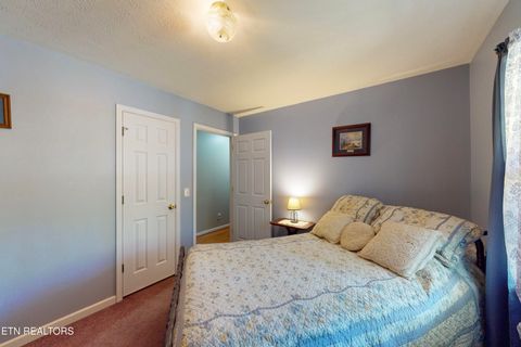 Tiny photo for 125 Unicoi Church Lane, Tellico Plains, TN 37385 (MLS # 1338200)