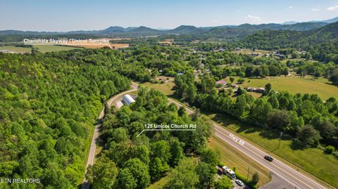 Tiny photo for 125 Unicoi Church Lane, Tellico Plains, TN 37385 (MLS # 1338200)