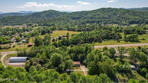 Tiny photo for 125 Unicoi Church Lane, Tellico Plains, TN 37385 (MLS # 1338200)