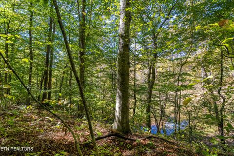 Tiny photo for 3717 Hickory Valley Rd, Maynardville, TN 37807 (MLS # 1327254)