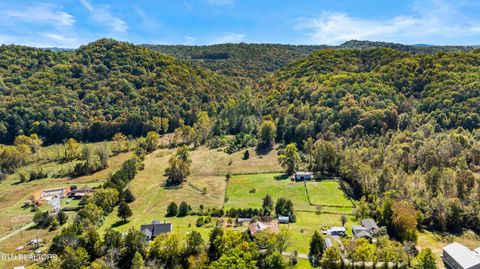 Tiny photo for 3717 Hickory Valley Rd, Maynardville, TN 37807 (MLS # 1327254)
