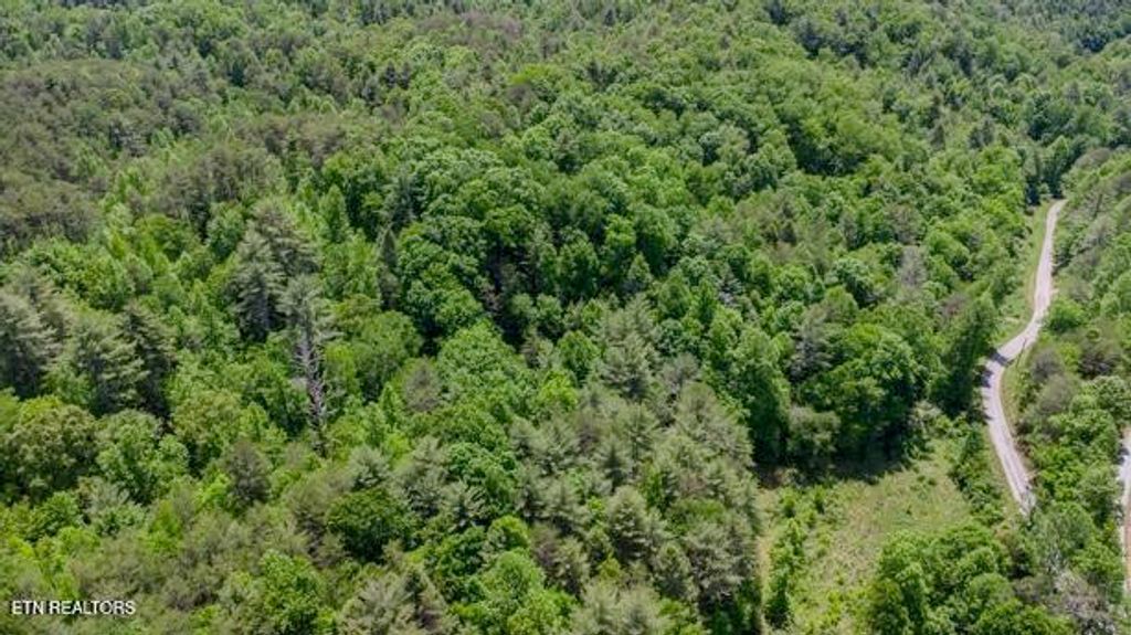 Photo of 379 Maple Springs Rd, Reliance, TN 37369 (MLS # 1340689)