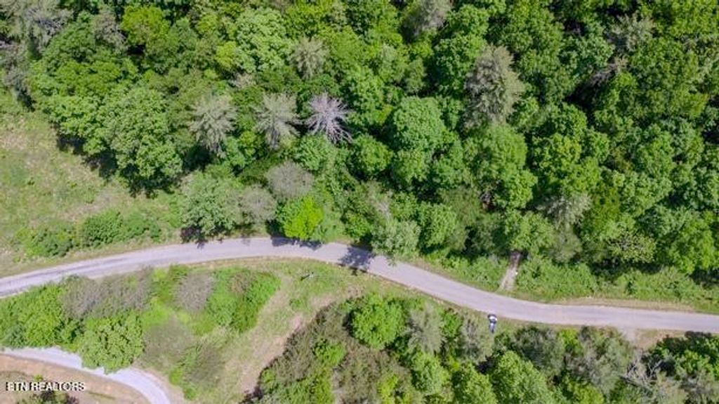 Photo of 379 Maple Springs Rd, Reliance, TN 37369 (MLS # 1340689)