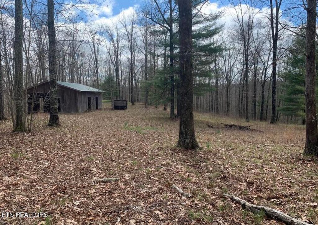 Photo of 2870 Leatherwood Ford Rd, Jamestown, TN 38556 (MLS # 1328053)