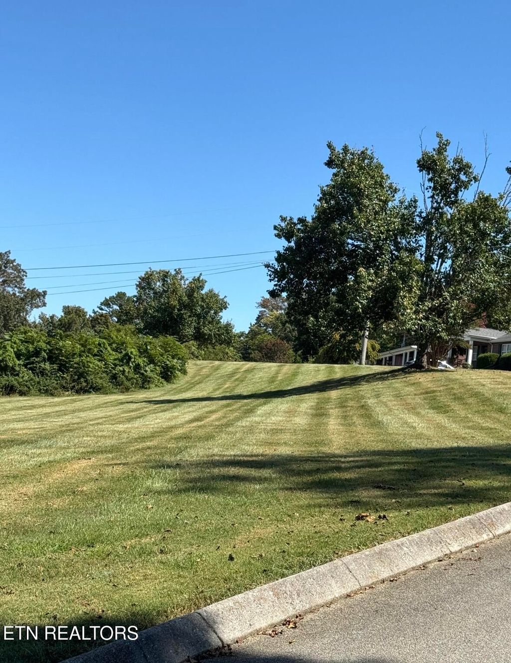 Photo of 132 Hackberry Way, Dandridge, TN 37725 (MLS # 1324696)