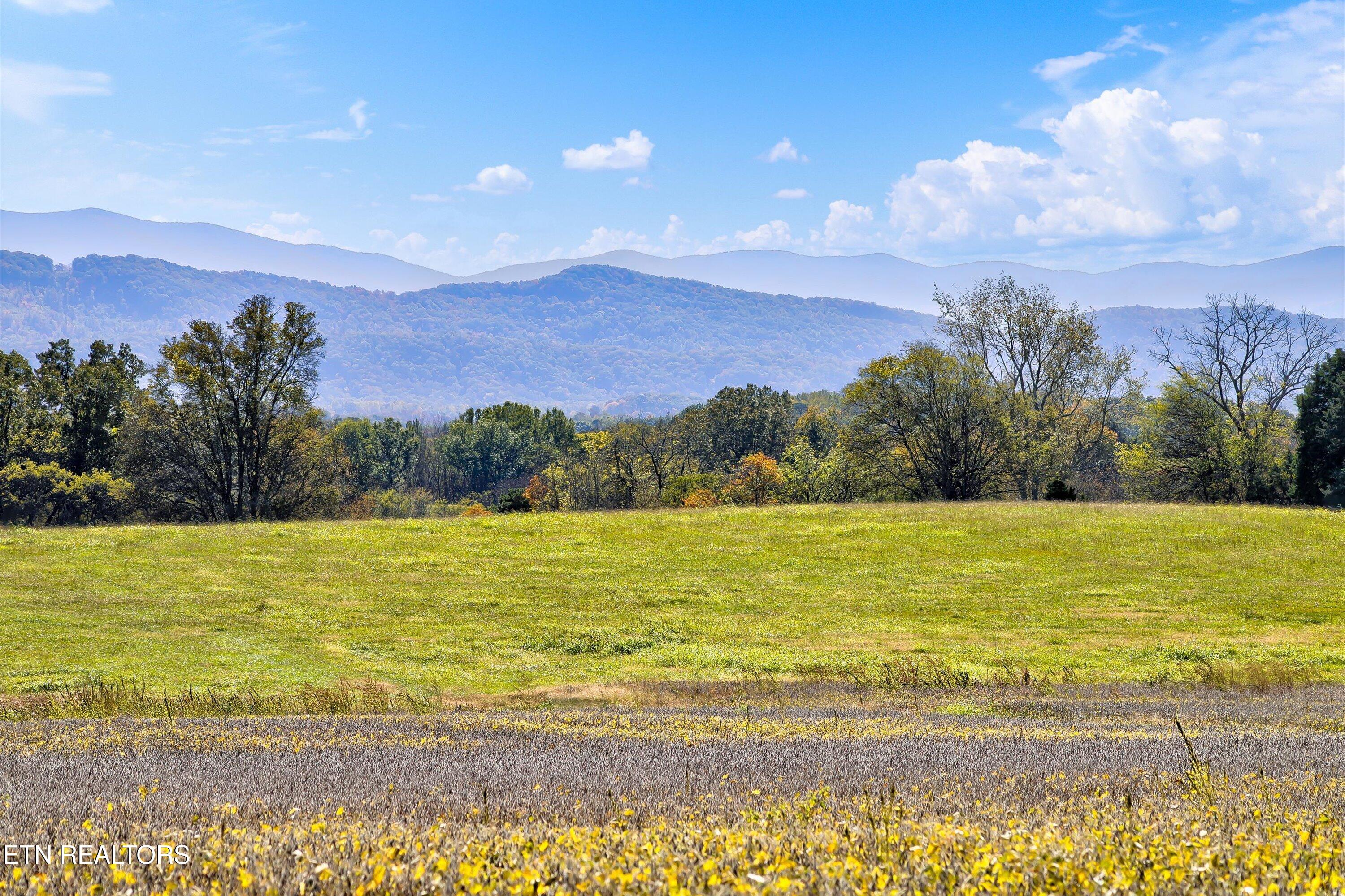 1816 E Brown School Rd