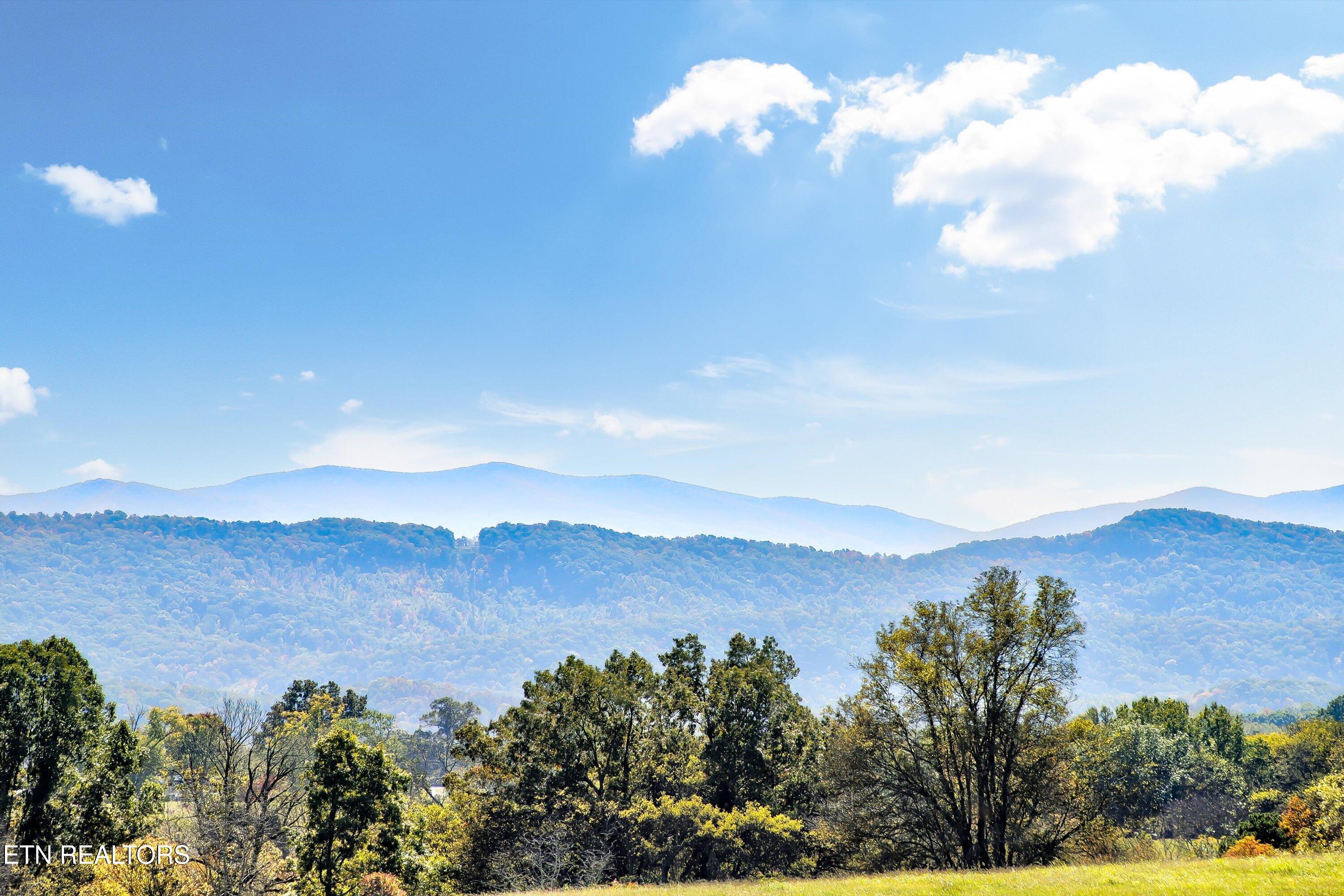 1816 E Brown School Rd