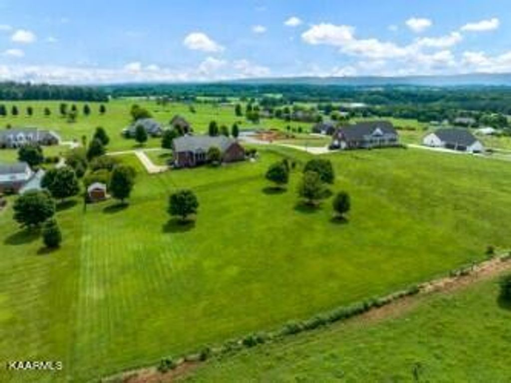 Photo of 773 Longview Drive, Greenback, TN 37742 (MLS # 1233146)