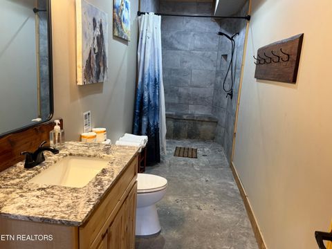 Tiny photo for 4309 Newport Hwy, Dandridge, TN 37725 (MLS # 1324485)