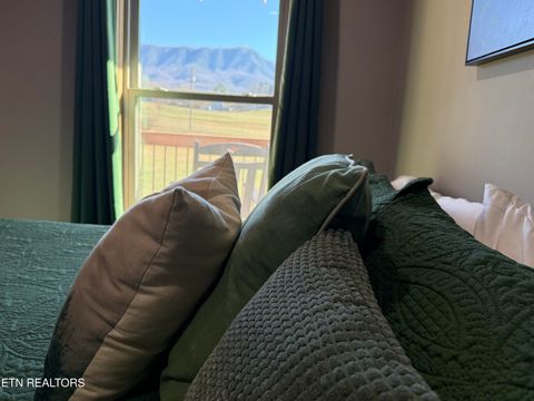 Tiny photo for 4309 Newport Hwy, Dandridge, TN 37725 (MLS # 1324485)