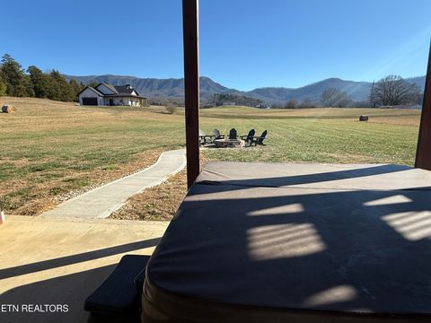 Tiny photo for 4309 Newport Hwy, Dandridge, TN 37725 (MLS # 1324485)