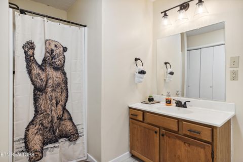 Tiny photo for 2777 Mountain View Circle, Sevierville, TN 37862 (MLS # 1328293)