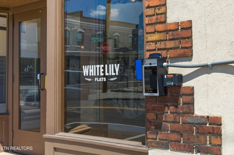 Tiny photo for 222 N Central St #106, Knoxville, TN 37917 (MLS # 1338205)