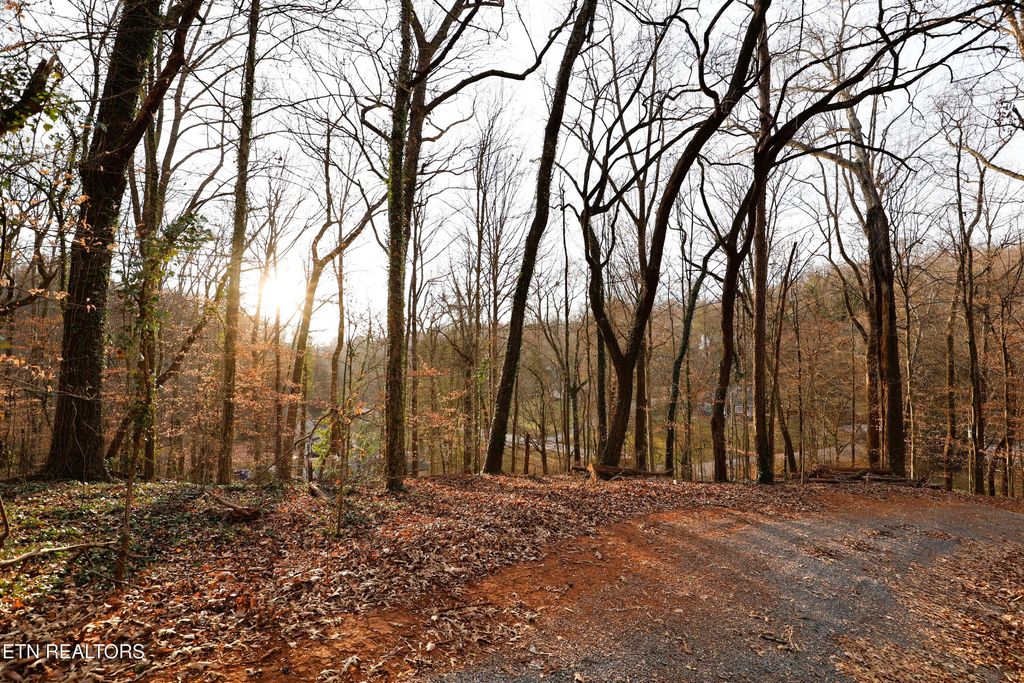 Photo of Montlake Lot 2 Drive, Knoxville, TN 37920 (MLS # 1325775)