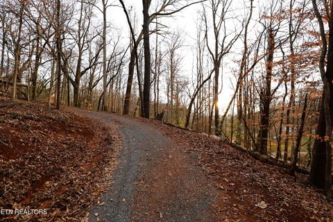 Tiny photo for Montlake Lot 2 Drive, Knoxville, TN 37920 (MLS # 1325775)