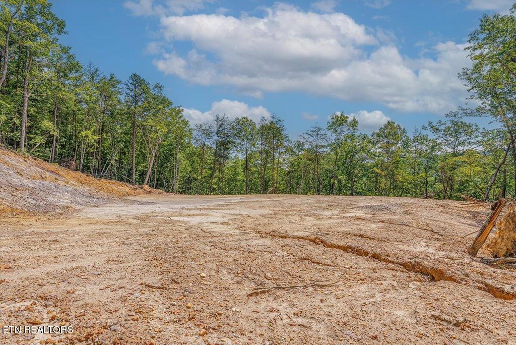 Photo of 1200 Steer Creek Rd, Tellico Plains, TN 37385 (MLS # 1300065)