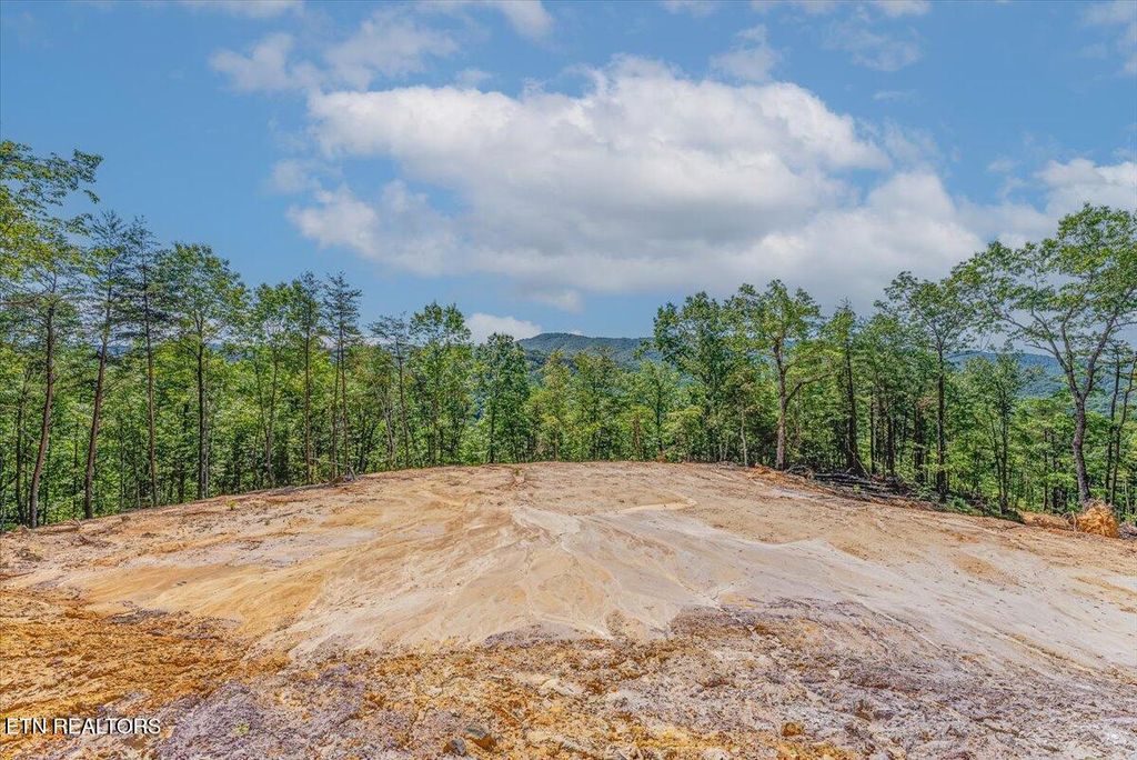 Photo of 1200 Steer Creek Rd, Tellico Plains, TN 37385 (MLS # 1300065)