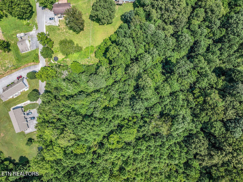 Photo of 0 Harmon Rd, New Tazewell, TN 37825 (MLS # 1349972)