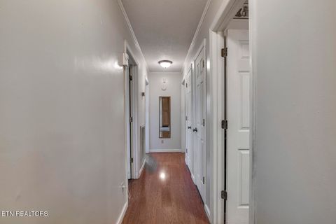 Tiny photo for 360 Church Lane Ln, Decatur, TN 37322 (MLS # 1318656)