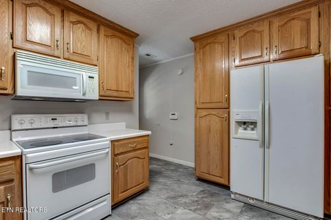 Tiny photo for 360 Church Lane Ln, Decatur, TN 37322 (MLS # 1318656)