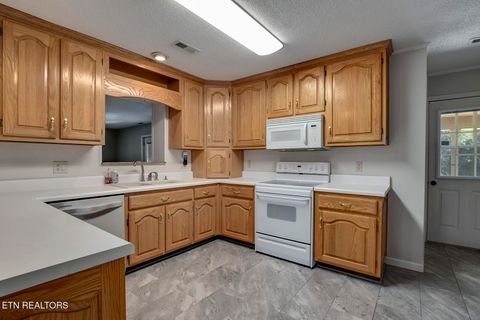 Tiny photo for 360 Church Lane Ln, Decatur, TN 37322 (MLS # 1318656)
