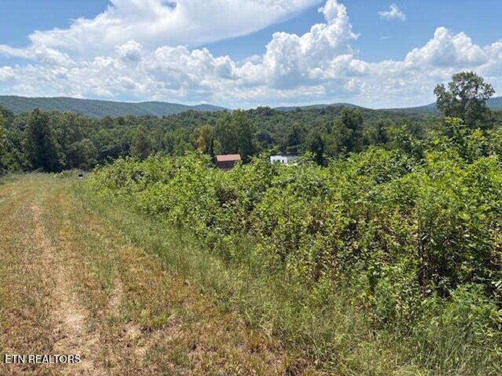 Photo of Old Harriman Hwy, Harriman, TN 37748 (MLS # 1310037)