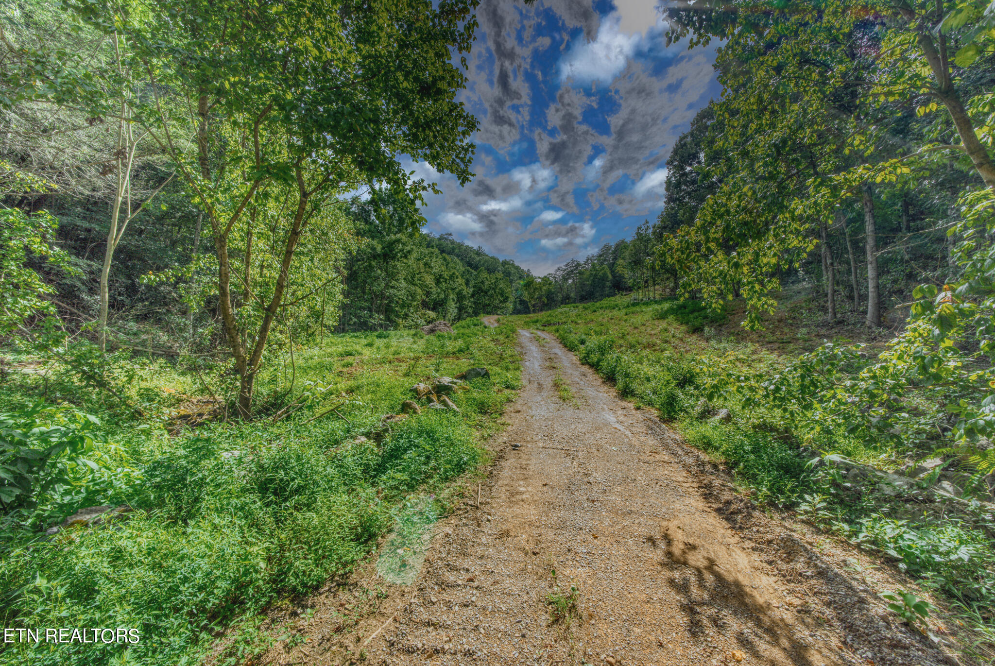 1670 Jobey Green Hollow Rd