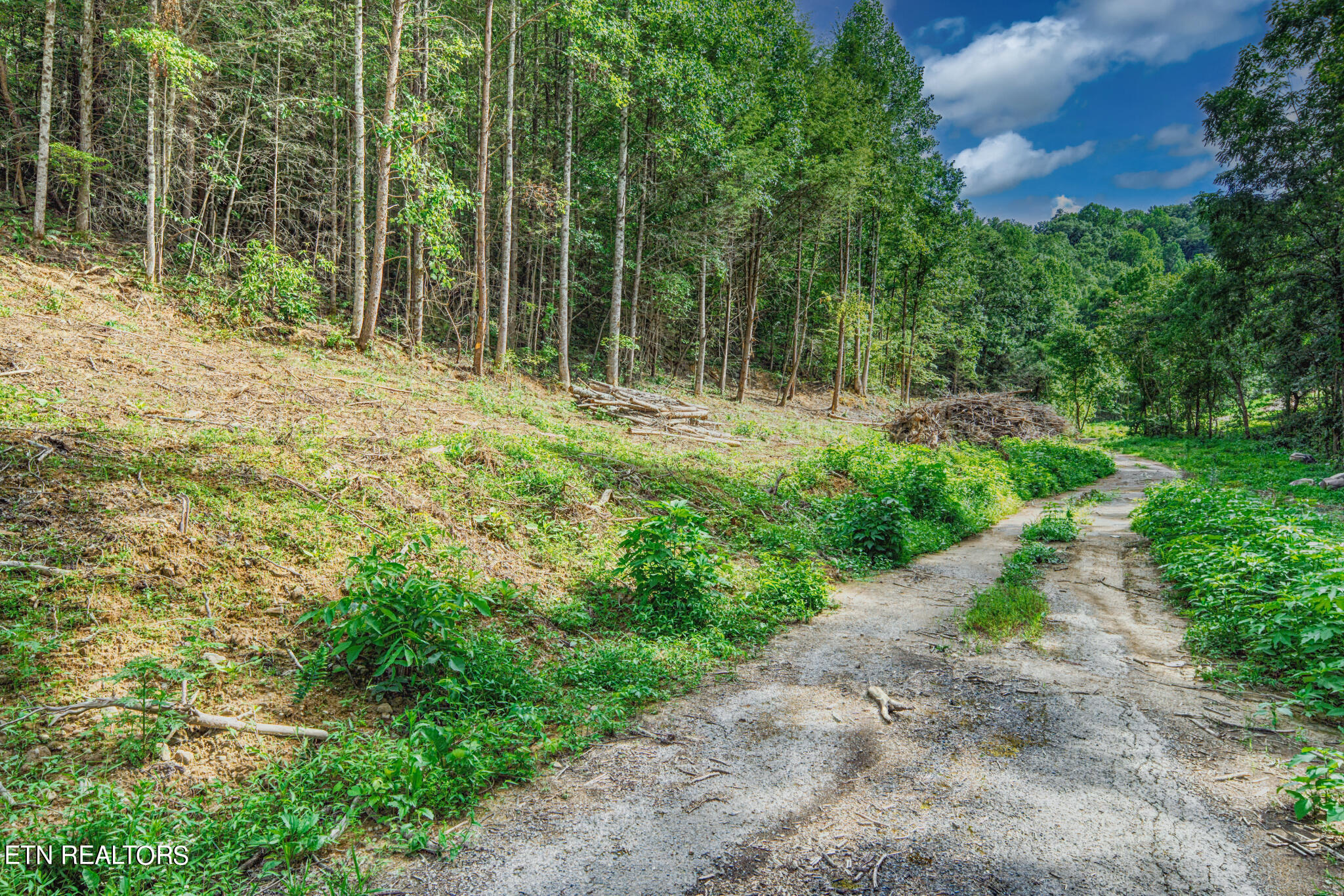 1670 Jobey Green Hollow Rd