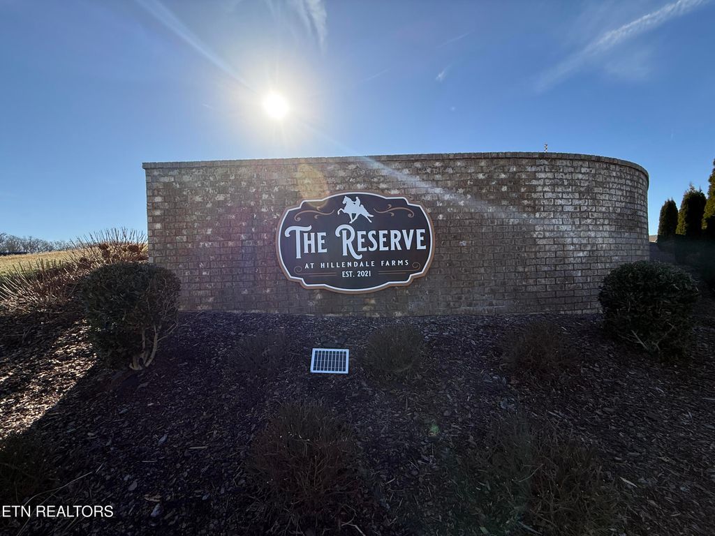 Photo of 283 Hillendale Lane, Gray, TN 37615 (MLS # 1324719)