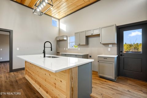 Tiny photo for 982 Smokey Mountain Queen Rd, Sevierville, TN 37876 (MLS # 1327469)