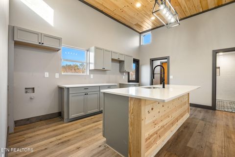 Tiny photo for 982 Smokey Mountain Queen Rd, Sevierville, TN 37876 (MLS # 1327469)