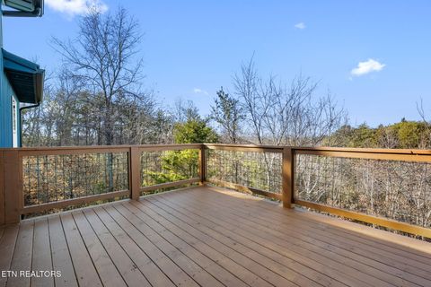 Tiny photo for 982 Smokey Mountain Queen Rd, Sevierville, TN 37876 (MLS # 1327469)