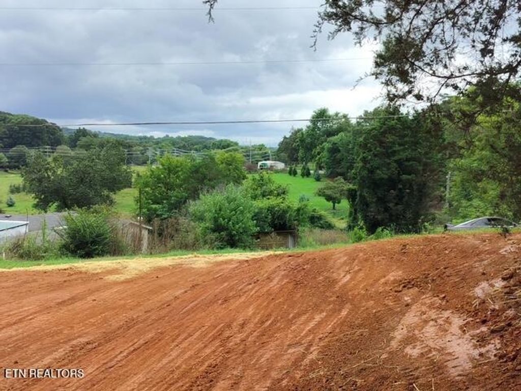 Photo of 111 Vineyard Lane, Friendsville, TN 37737 (MLS # 1310799)