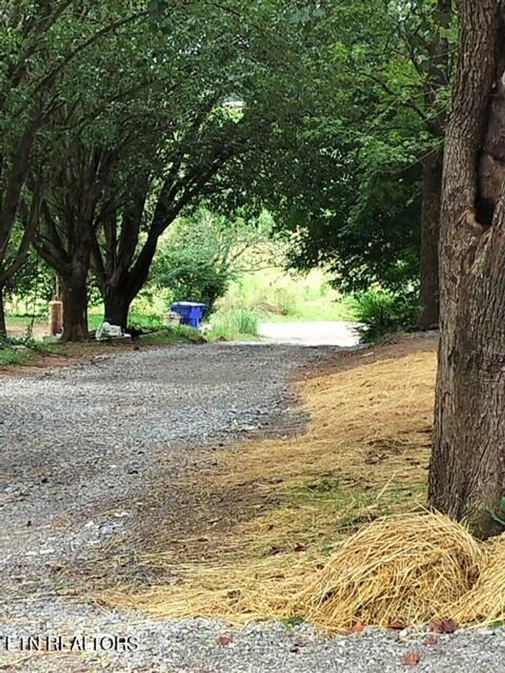 Photo of 111 Vineyard Lane, Friendsville, TN 37737 (MLS # 1310799)